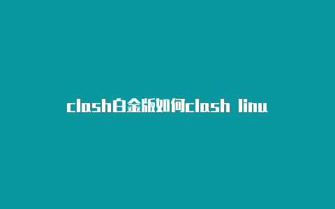 clash白金版如何clash linux使用方法