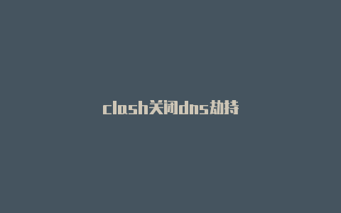 clash关闭dns劫持