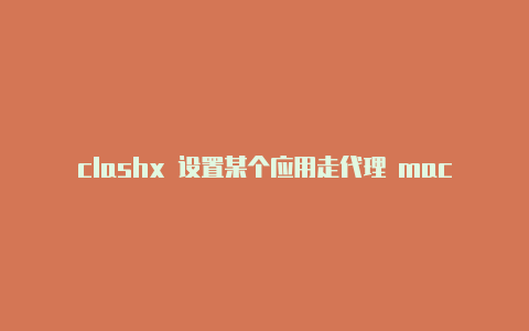 clashx 设置某个应用走代理 mac?-印度尼西亚手机热点clash分享