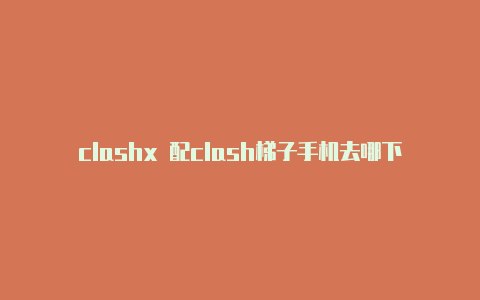 clashx 配clash梯子手机去哪下置