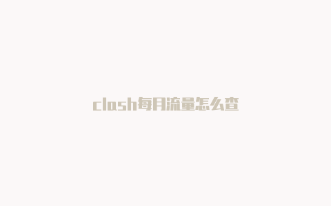 clash每月流量怎么查