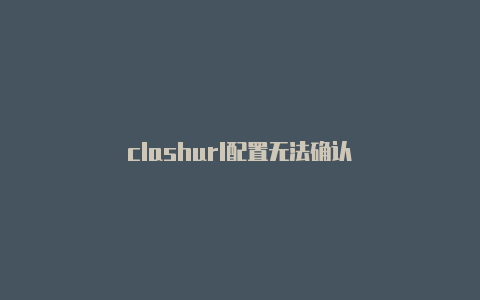 clashurl配置无法确认