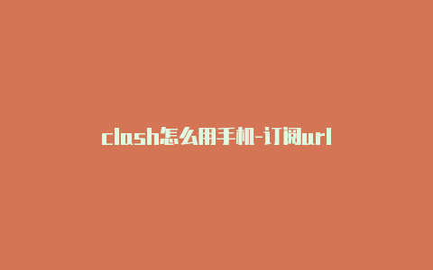 clash怎么用手机-订阅url