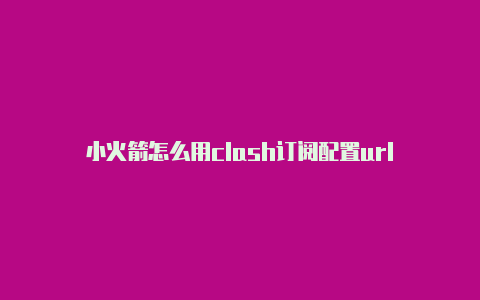 小火箭怎么用clash订阅配置url