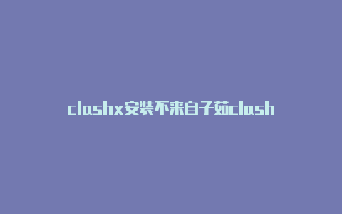 clashx安装不来自子茹clash