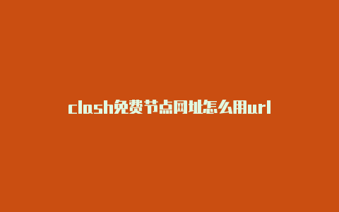 clash免费节点网址怎么用url