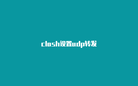 clash设置udp转发