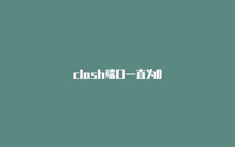 clash端口一直为0
