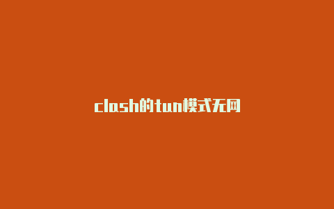 clash的tun模式无网