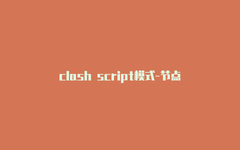 clash script模式-节点