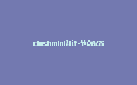 clashmini翻译-节点配置