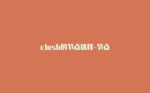 clash的节点选择-节点