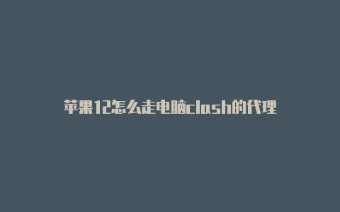 苹果12怎么走电脑clash的代理