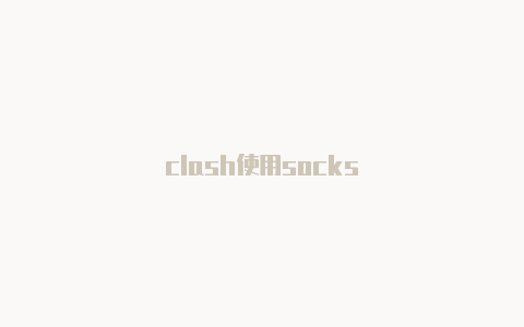 clash使用socks