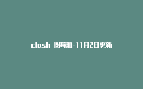clash 树莓派-11月2日更新-Clash for Windows