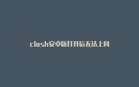 clash安卓版打开后无法上网