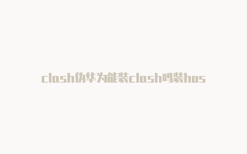 clash伪华为能装clash吗装host