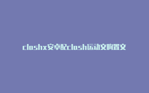 clashx安卓配clash运动文胸置文件