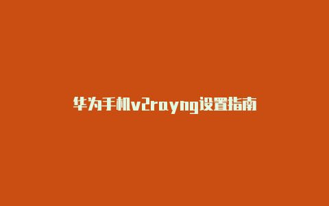 华为手机v2rayng设置指南