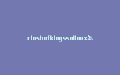 clashofkingssolinux怎么配置clashng
