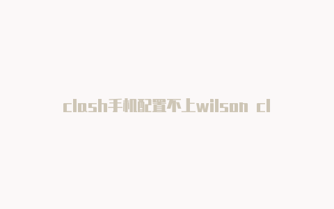 clash手机配置不上wilson clash 2.0