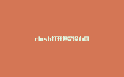 clash打开但是没有网