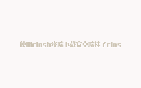 使用clash终端下载安卓端挂了clash还是上不去