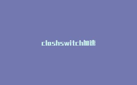 clashswitch加速