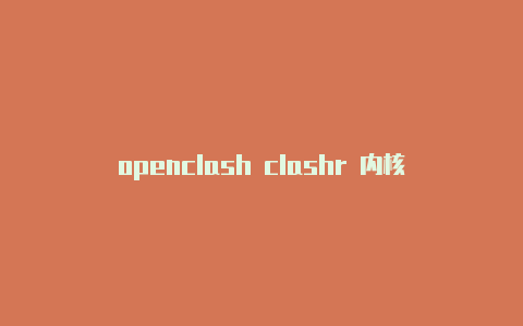 openclash clashr 内核