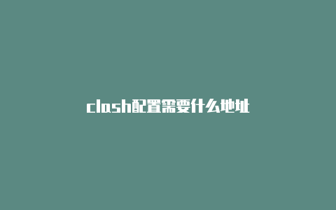 clash配置需要什么地址