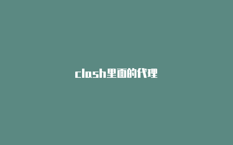 clash里面的代理