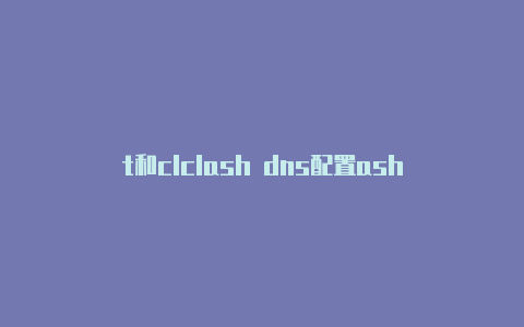 t和clclash dns配置ash