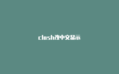 clash改中文显示