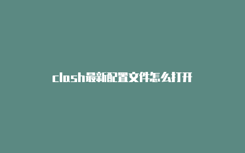 clash最新配置文件怎么打开