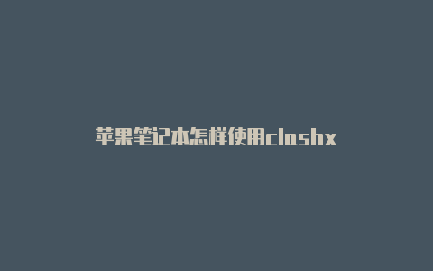 苹果笔记本怎样使用clashx