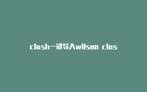 clash一键导入wilson clash 100l知乎