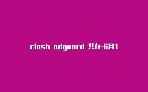 clash adguard 共存-6月14日更新