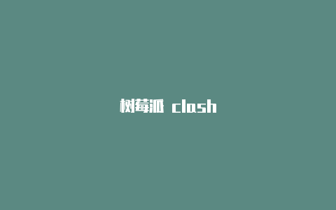 树莓派 clash