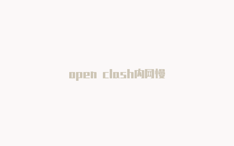 open clash内网慢