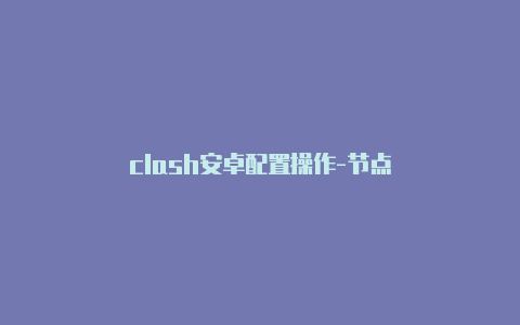 clash安卓配置操作-节点