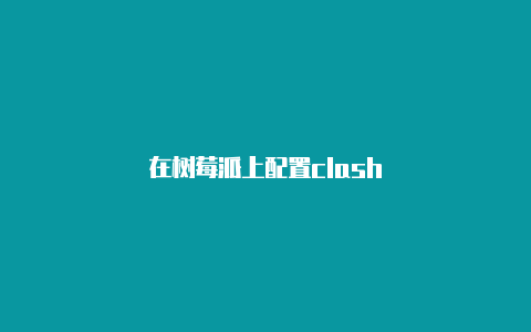 在树莓派上配置clash