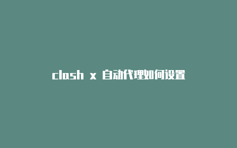 clash x 自动代理如何设置