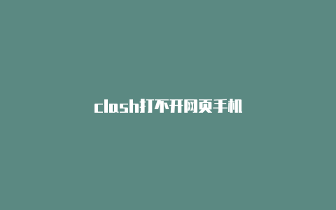 clash打不开网页手机