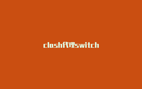 clash代理switch