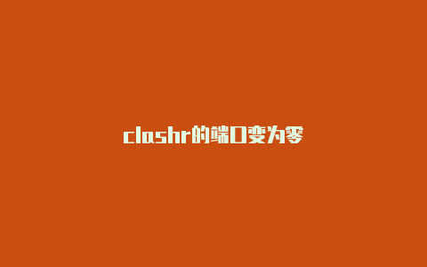 clashr的端口变为零