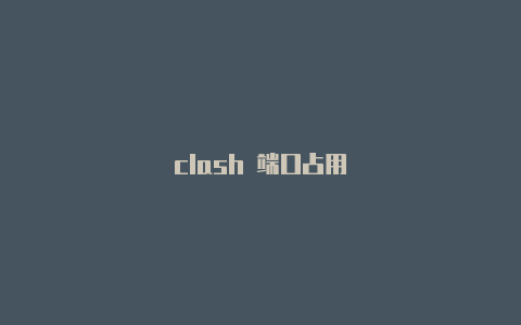 clash 端口占用