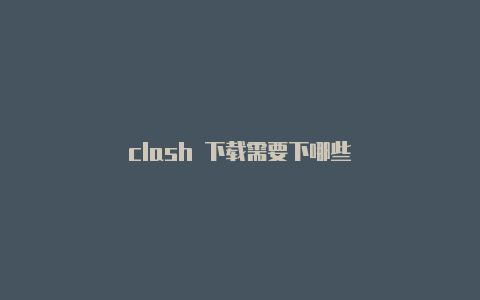 clash 下载需要下哪些