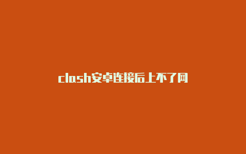 clash安卓连接后上不了网