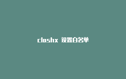 clashx 设置白名单