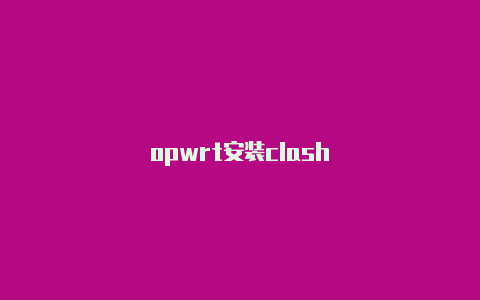 opwrt安装clash